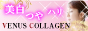 女性のお肌を守るためだけにに誕生した美肌サプリメントヴィーナスコラーゲン(旧名ツヤ肌ヴィーナス）