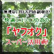 無理せず月3万円の副収入！快適エコライフの為の「ヤフオク」スーパー活用術！