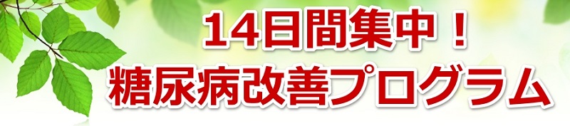 14日間集中！糖尿病改善プログラム