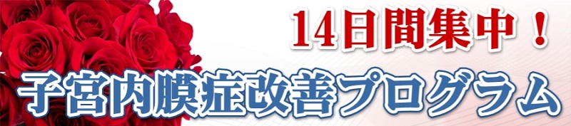 改訂版・14日間集中！子宮内膜症改善プログラム