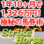 『Strike Horse （ストライクホース）』