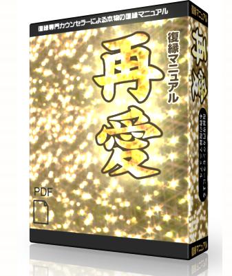 --３日間限定の特別限定価格--21日で大好きなアノ人とよりを戻す方法【再愛】