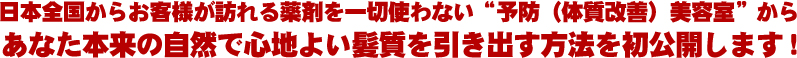 地肌や髪にストレスを与えない　美しさを引き出すセルフほぐし（メールサポートあり）