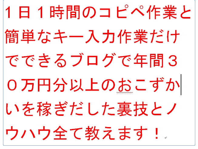 1日1時間のコピペ作業と簡単なキー入力作業だけでできるブログで年間３０万円分以上のおこずかいを稼ぎだした裏技とノウハウ全て教えます！