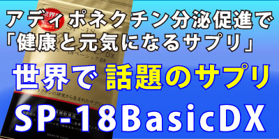 濃縮版 SP-18 BASIC DX（ｴｽﾋﾟｰ18 ﾍﾞｰｼｯｸDX)