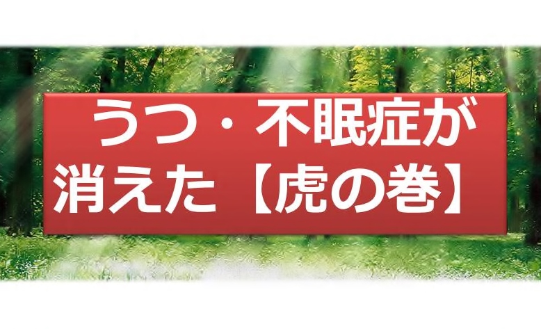 【虎の巻】　うつ・不眠症が消えた　　僕が「うつ・不眠症」から卒業した方法　　-35のレシピ-