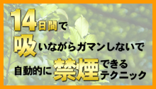 14日間で吸いながらガマンしない禁煙テクニック