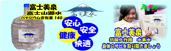 【高濃度水素水】富士美泉水素水 10L×4本セット