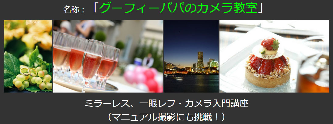 一眼レフ・カメラ教室(入門)【大阪】 マニュアルで、思い通りに露出コントロールする方法をお伝えします。 まるで、絵を描くように、 シャッターを押す前から、どんな写真が撮れるか分かるプロが使っている技をお伝えします。 カメラ任せではない、マニュアル撮影だからできる自分らしい写真を撮ろう!