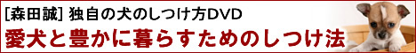 <b>熊本県</b>：<b>黒川温泉</b> ペット宿泊可の宿 - ペットと泊まれる宿