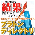 SEO対策に有効なプラトンディレクトリ/価値あるSEO対策をお探しの方に、完全審査型ディレクトリ登録サービスのご紹介です。