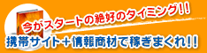 ���ӥ����ȡܾ��󾦺�ǲԤ��ޤ��졪