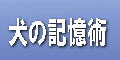 ���̋L���p