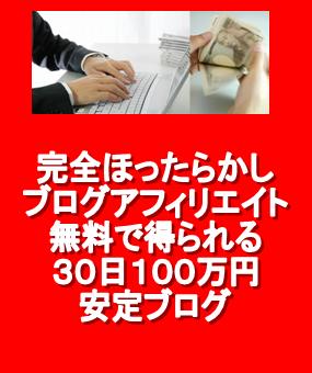 完全ほったらかしブログアフィリエイト　無料で得られる３０日１００万円安定ブログ