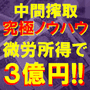 中間搾取・究極マニュアル〜“微労所得”で３億円!!〜◆