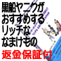 「黒船ヤニクが暴露する！  リッチな　なまけものインターネットビジネス10番勝負！！」