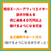 証拠写真も公開中!最低40万円以上稼ぎだす現役スーパーアフィリエイターがアフィリエイトでの稼ぎ方をすべて公開!さらにヤフー、グーグル攻略!無料SEOサポートでプロ級の成果を出す
