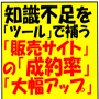 『インターネットマーケティング極楽３点セット』★「難しい事など考えず」に「３つのツール」を使用し「あなたの販売ページ」の「成約率向上」が見込めます！！