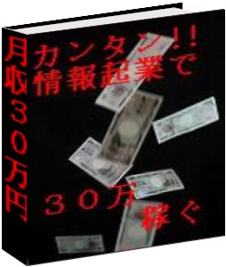 『カンタン！情報起業で楽々月収30万円』期間限定３０００円