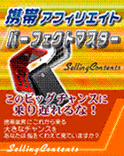 このビッグチャンスに乗り遅れるな!片手間作業でド素人を月収6ケタへ導く 携帯アフィリエイトパーフェクトマスター