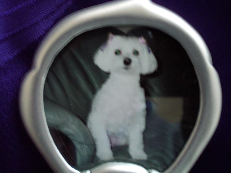 いとしのアン！多くの感動をありがとう。