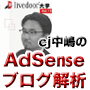 �y1/5�̔��I���I�zcj�����́u�����IAdSense�u���O��́v