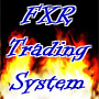 FX（外国為替）　VT-Trader用自動売買システム　「FXR Trading System」