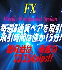 取引は１５分で完結！毎週６通貨ペアを取引！リスクヘッジ機能を兼ね備えた、FXポートフォリオシステム