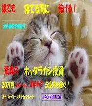 �N�ł��Q�Ă�Ԃɉ҂���I��������@�\�t���ق̃z�b�^���J�V�����I�Q�O���~�ŃX�^�[�g���A�R�N���łT���~�҂��I�[�o�i�C�g�E�V�X�e���E�g���[�h��