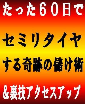 ★考える必要なし！誰でも出来る！★たった６０日でセミリタイヤする奇跡の儲け術＋裏技アクセスアップ＆SEO対策★初心者必携のアイテム！