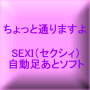 ちょっと通りますよ～　SEXI（セクシィ）自動足あとソフト　～【返金保証付】★豪華特典付★