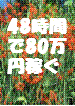 たった４８時間で８０万円稼いだマニュアル