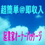【再販権付】情報起業家オーナーパッケージ☆セールスページ付だから♪即日収入