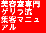 美容室専門　ゲリラ流　集客マニュアル