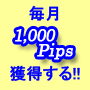 �y�|���h�^�~�z����1,000pips�l������AFX�ɏ��������邽�߂̕��@�IFX�@SURFING�@TRADING�I