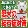 あなたにもできる！愛犬の結石症対策　ペットの命はあなたが守る！