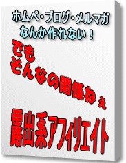 露出系アフィリに魅せられて・・時間貧乏なサラリーマンが週60分で月30万円稼ぐ「露出系アフィリエイト」　ここまで暴露で ３，４８０円？