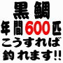 黒鯛（チヌ）釣り年間６００匹　『落とし込み＆前打ち』　こうすれば釣れます！！