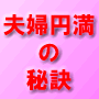 �� �ޥ˥奢��13