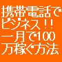 ���[�������ł��Ȃ��g�тǑf�l�������Ƃ����ԂɌg�уr�W�l�X�Ō���100���~�҂������@