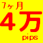 7ヶ月で4万pips デイトレードから6日に1回のトレードにも対応 PerfectFXツール