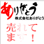 株式会社ありがとうのバカ売れホームページ作成サービス！ＤＴＰプラス