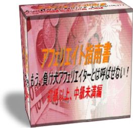 アフェリエイト指南書　初級以上、中級未満編