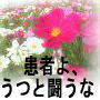 患者よ、うつと闘うな●死にたいと思う本当の理由●