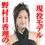 ���f���E�쑺�������́w������{�f�B�[�_�C�G�b�g�x