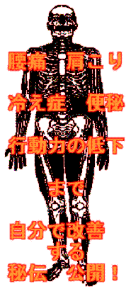 腰痛・肩こり・冷え症・行動力の低下まで自分で改善する秘伝！
