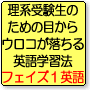 英語が苦手な理系受験生のための、....