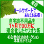 【完全保存版】初心者のためのオークション本業化テキスト　<実録>自宅の不用品を1ヶ月で30万に現金化したヤフオク術
