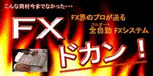 為替完全自動売買ソフト【ＦＸドカン】