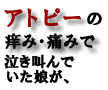 ：脱ステロイド！アトピー改善マニュアル